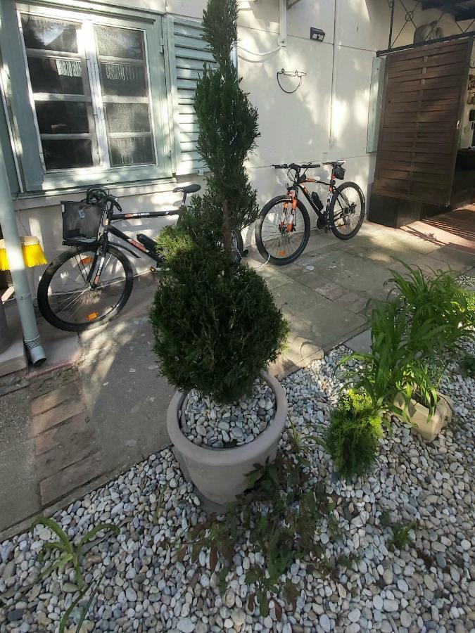 Garden Budha Relax Apartman, Parking, Bbq, Terrace Siófok Eksteriør billede