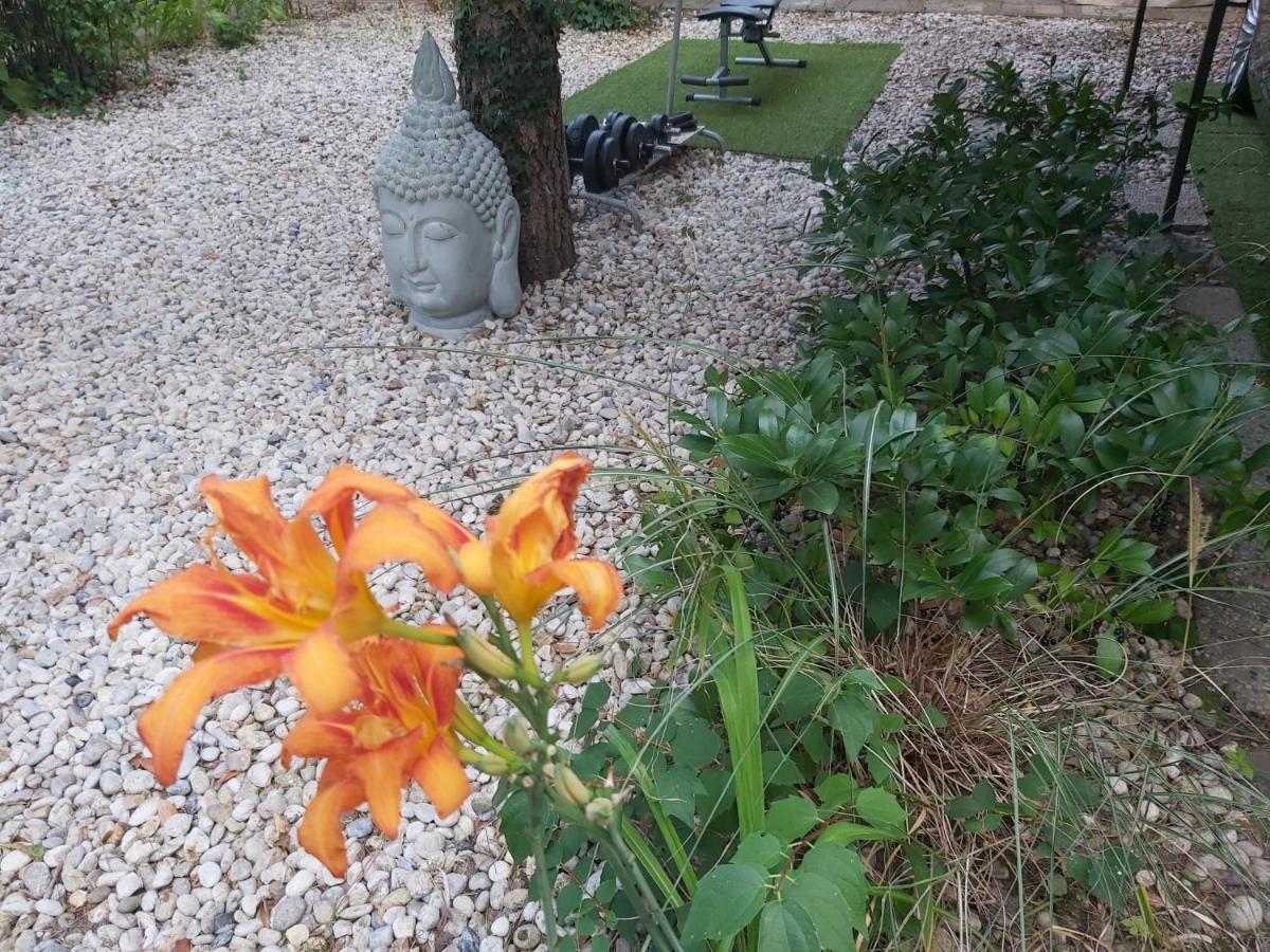 Garden Budha Relax Apartman, Parking, Bbq, Terrace Siófok Eksteriør billede
