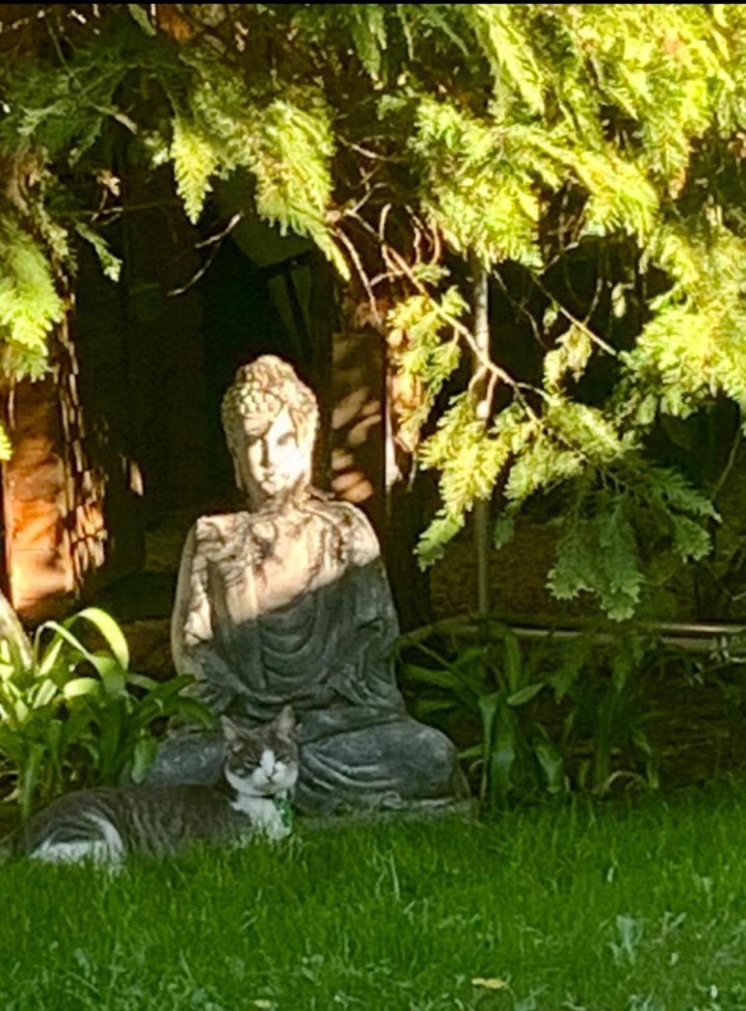 Garden Budha Relax Apartman, Parking, Bbq, Terrace Siófok Eksteriør billede